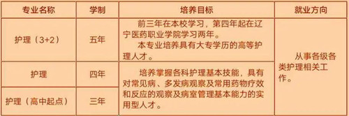 沈阳医学院附属卫生学校