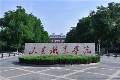 山东职业学院