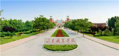 山东职业学院