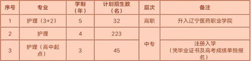 沈阳医学院附属卫生学校