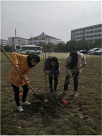 安徽红十字会卫生学校