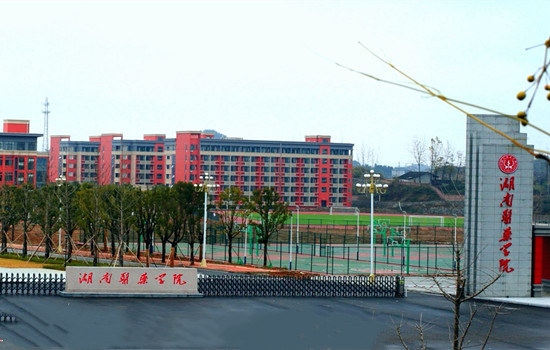 湖南医药学院