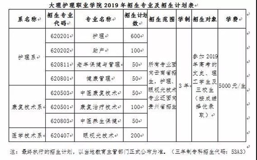 大理护理职业学院招生计划