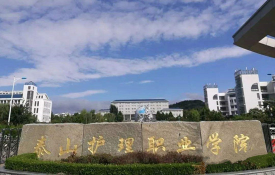 泰山护理职业学院